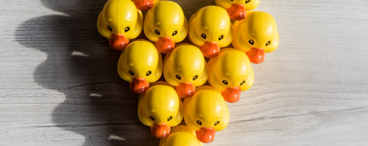 Web Application Development